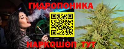 apvp Дубна