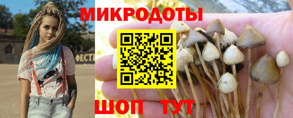 Галлюциногенные грибы мицелий Новошахтинск